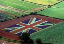 العقود المؤقتة في مجال الزراعة في المملكة المتحدة
